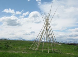 Blackfeet tipi poles