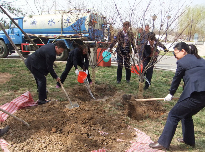 Employees from a Xi'an company planting trees 