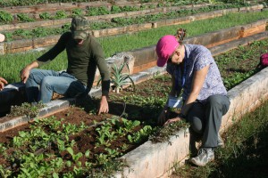 work with farmers in Cuba