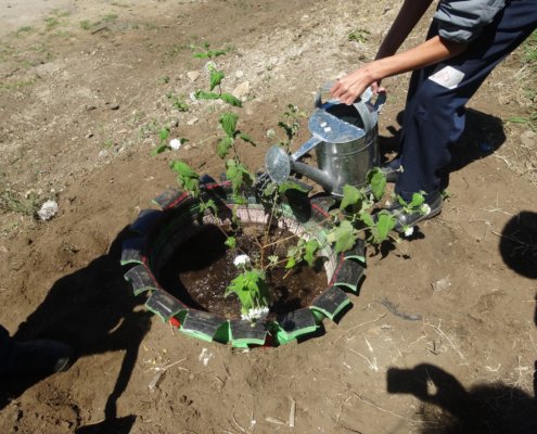 Volunteers planting in Costa Rica