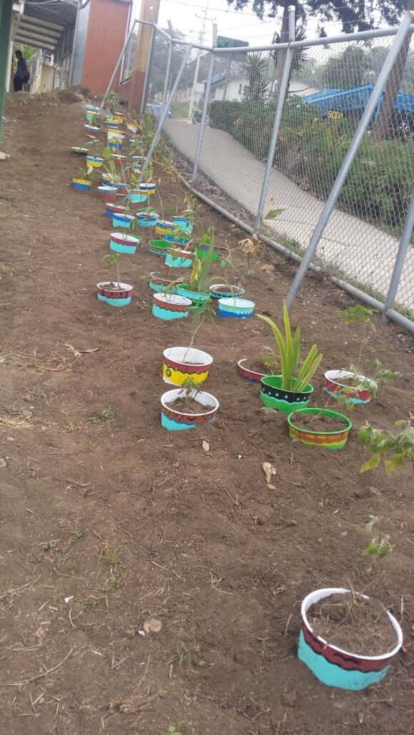 Some of the new plants by Global Volunteers and students in Costa Rica
