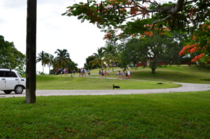 Cuban park near volunteer project.