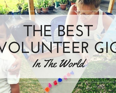 Best Volunteer Gig