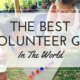 Best Volunteer Gig