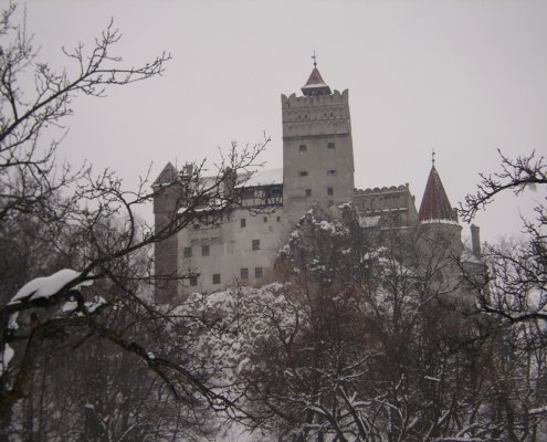 Dracula in real life