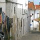 Couple volunteering opportunities in Beja, Portugal