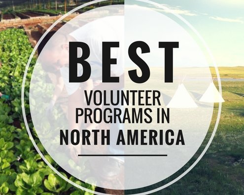 Best Volunteer Programs in North America