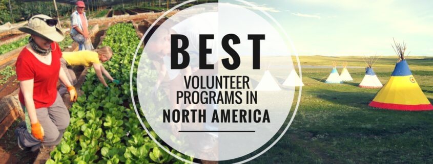 Best Volunteer Programs in North America