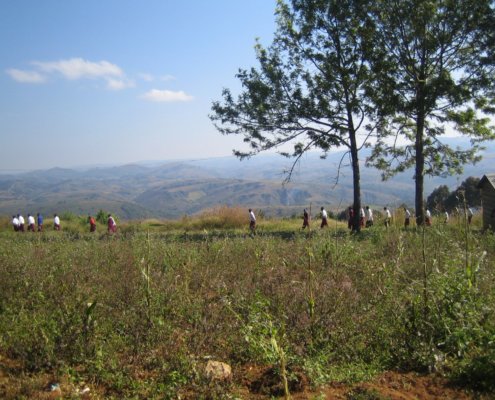 Ipalamwa Tanzania