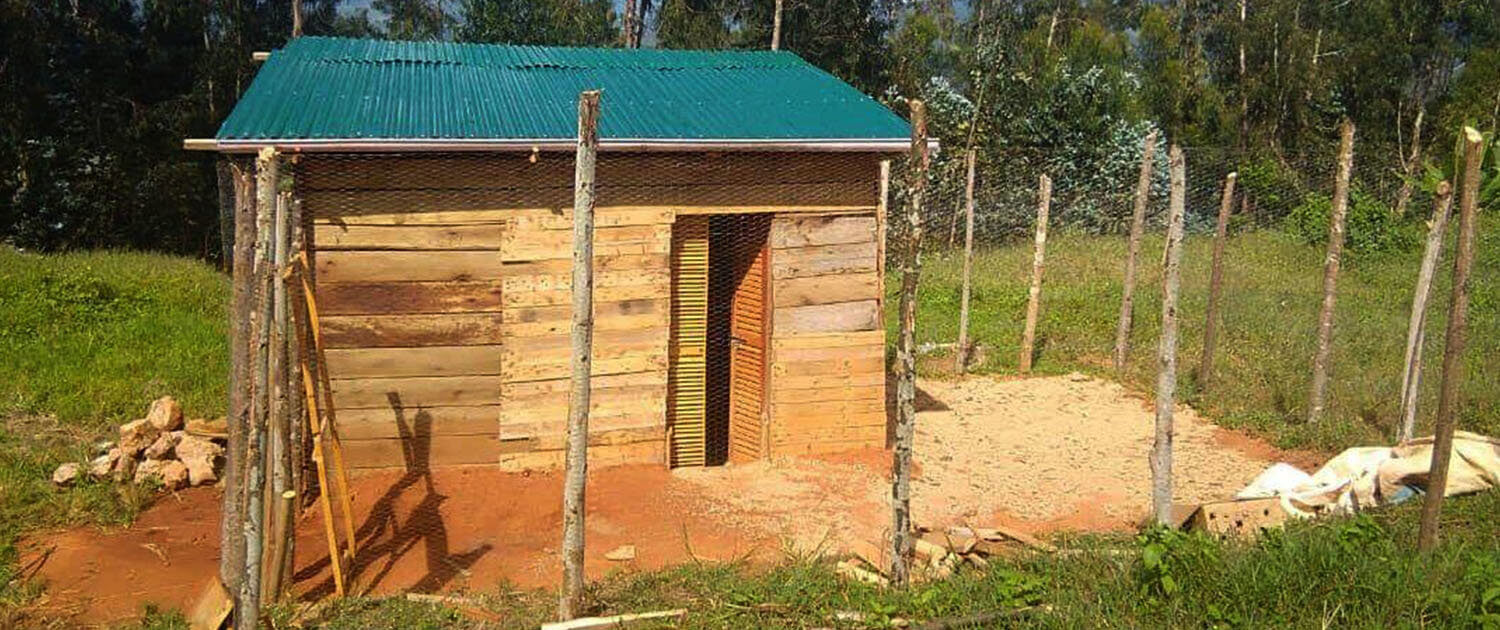 The model chicken coop at the RCP Center in Ipalamwa features an enclosed yard for the chickens to exercise.