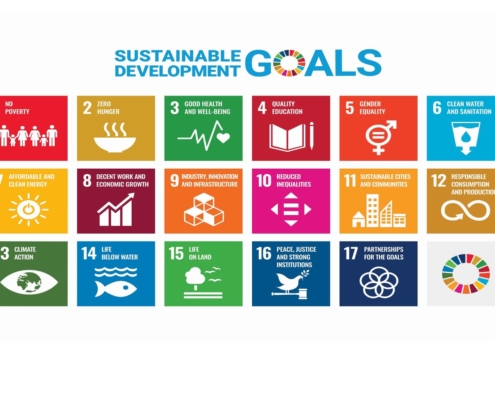 United Nations Sustainable Development Goals (SDGs)