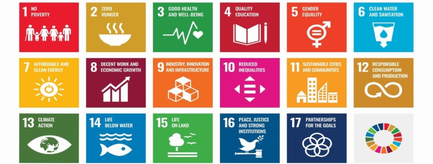 United Nations Sustainable Development Goals (SDGs)